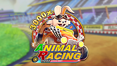 ANIMAL RACING