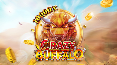 CRAZY BUFFALO