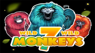 7 Monkeys
