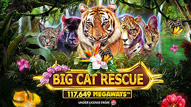 Big Cat Rescue Megaways