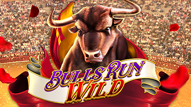 Bulls Run Wild