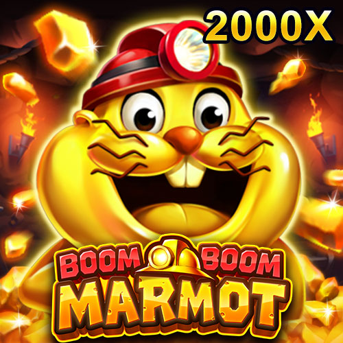 BOOM BOOM MARMOT